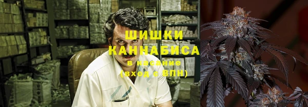 шишки Осинники