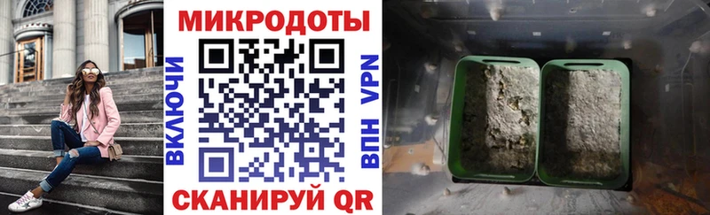 Галлюциногенные грибы Psilocybine cubensis  Топки 
