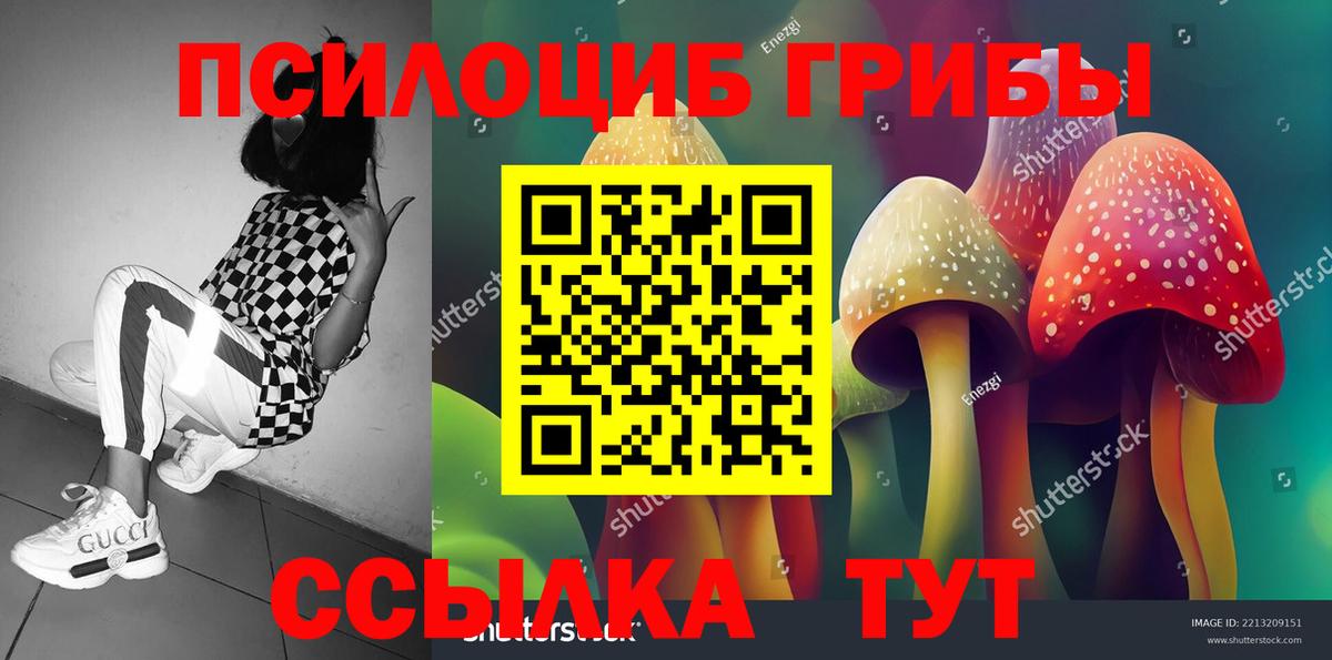 Галлюциногенные грибы Psilocybe Топки