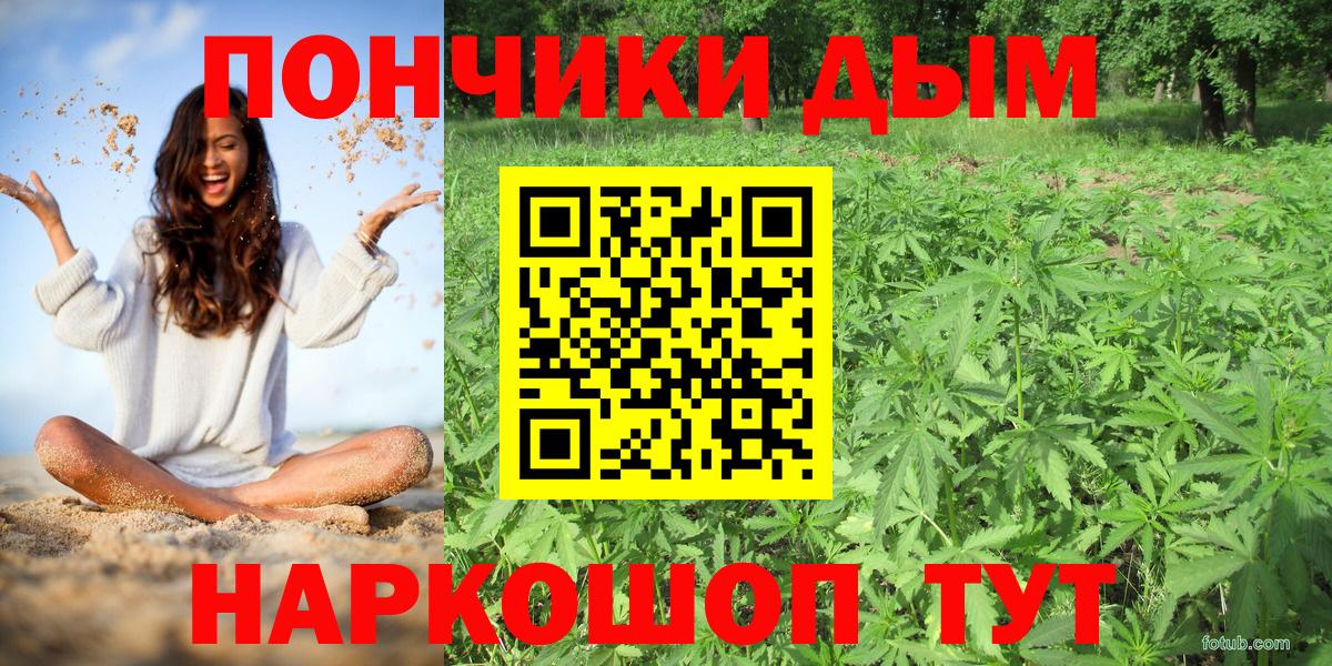Канабис ГИДРОПОН  Марихуана сатива  Вход с VPN  Топки 